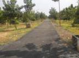 Rajiv gandhi college near land sales @Nemili,sriperumbudur