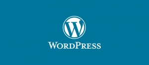 Wordpress Web Development Company India