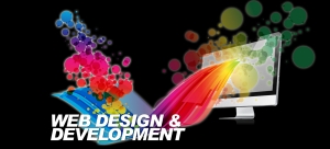 Affordable Custom Web Design Services by Professional Design