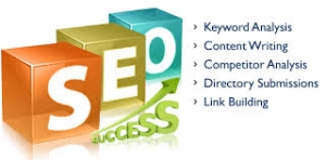 Best SEO Company in Jaipur