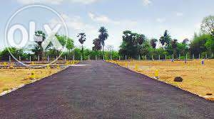 venkateshwara college near land sales at sriperumbudur