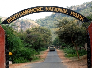 •	Ranthambore Weekend Tour Ex Delhi