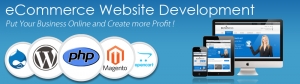 Most Reliable Web Design & Development Company in Jaipur