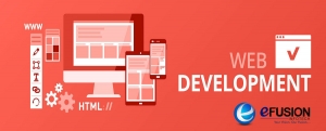 Web Development Companies in Rajasthan