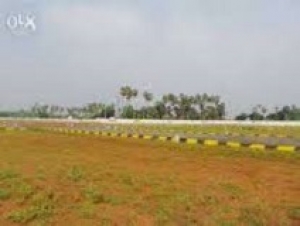 30Feet road near land sales 115per sq at sriperumbudur near 