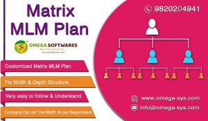 affordable matrix mlm plan in chennai at low cost