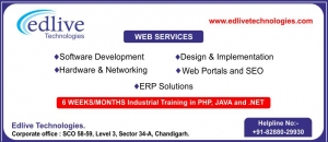 6 months professional training in php,java,.net