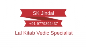 Best astrologer Lal Kitab Vedic+91-9779392437