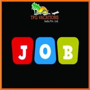 Freshers Jobs in TFG For Digital Marketer