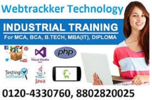 salesforce training institute in noida