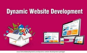 Dynamic Website Development Packages