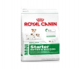 Buy Royal Canin Mini Starter 3 kg Online