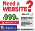 Get a Complete Website 999/yr