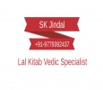 Best astrologer Lal Kitab Vedic+91-9779392437